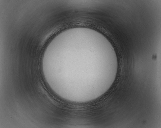 X0000115700735200912241522