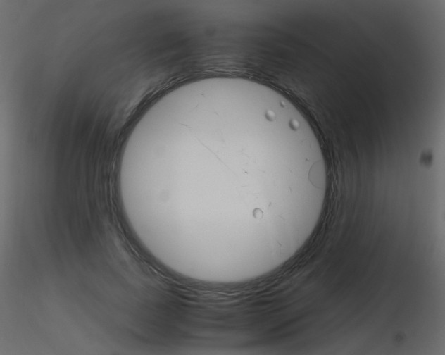 X0000115700739200912241522