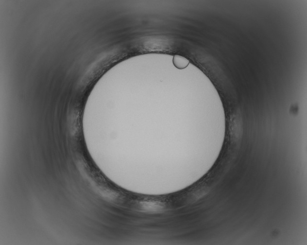 X0000115700741200912241522