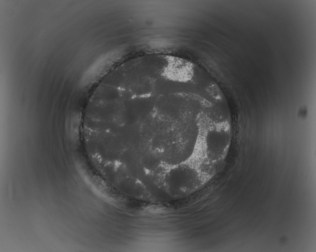 X0000115700742200912241522