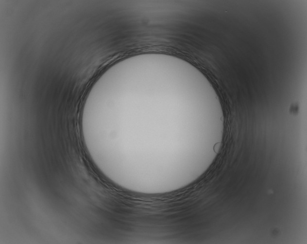 X0000115700743200912241522