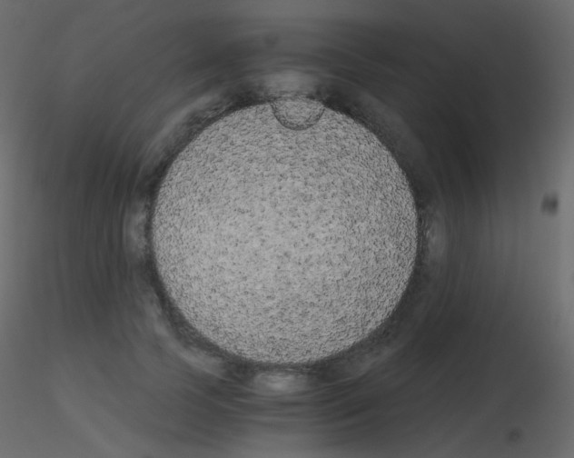 X0000115700745200912241522