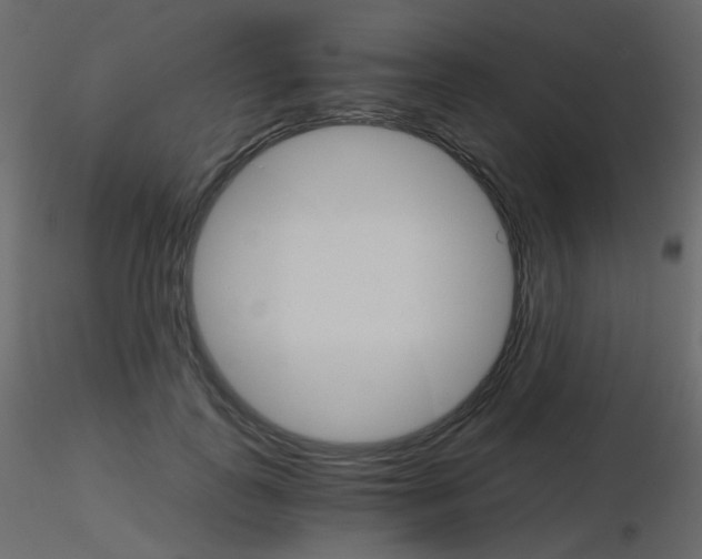 X0000115700747200912241522