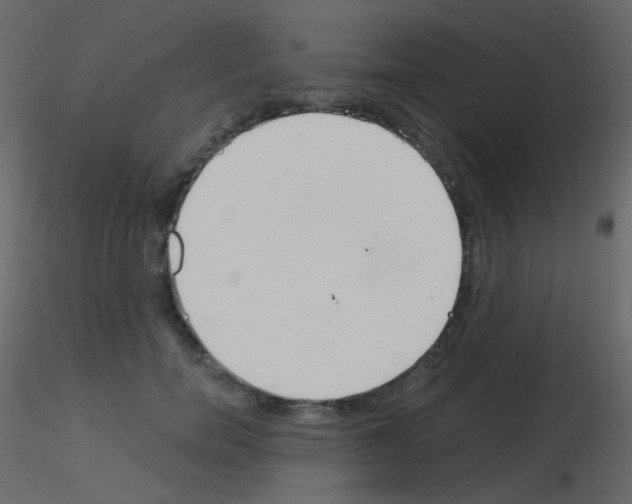 X0000115700750200912241522