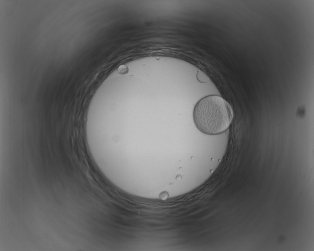 X0000115700751200912241522