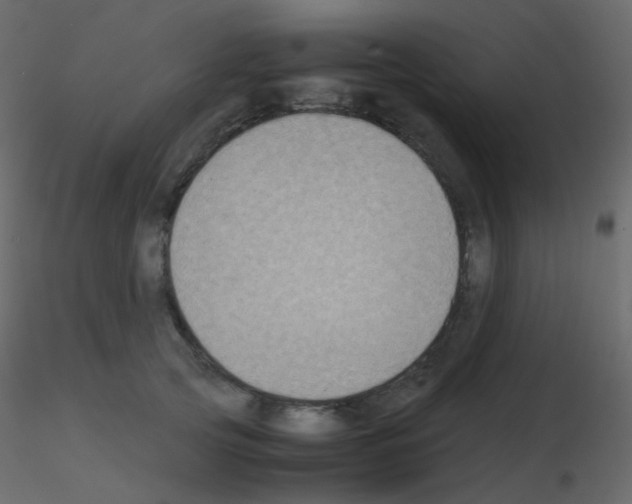 X0000115700753200912241522