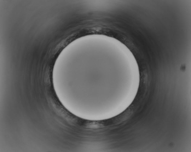 X0000115700754200912241522