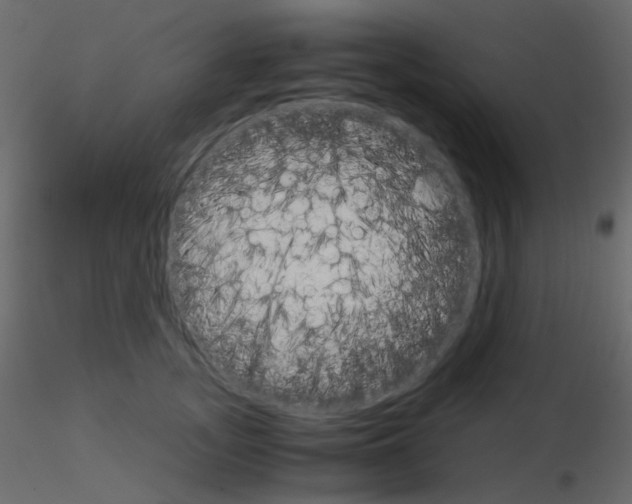 X0000115700755200912241522