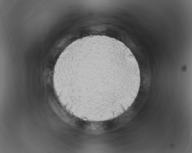 X0000115700758200912241522