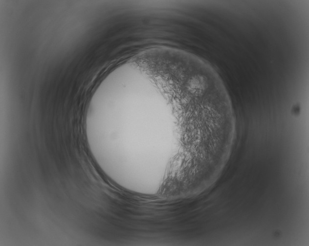 X0000115700759200912241522