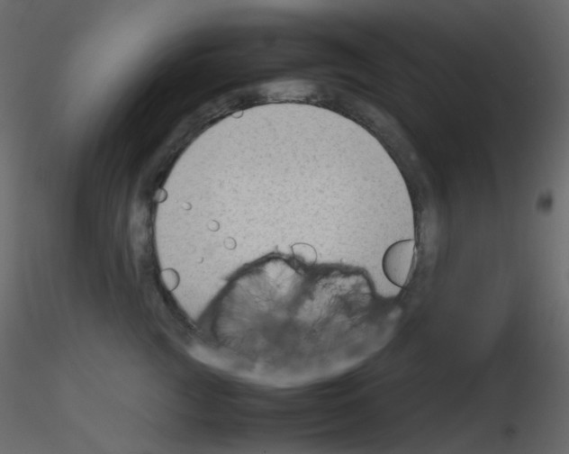 X0000115700761200912241522