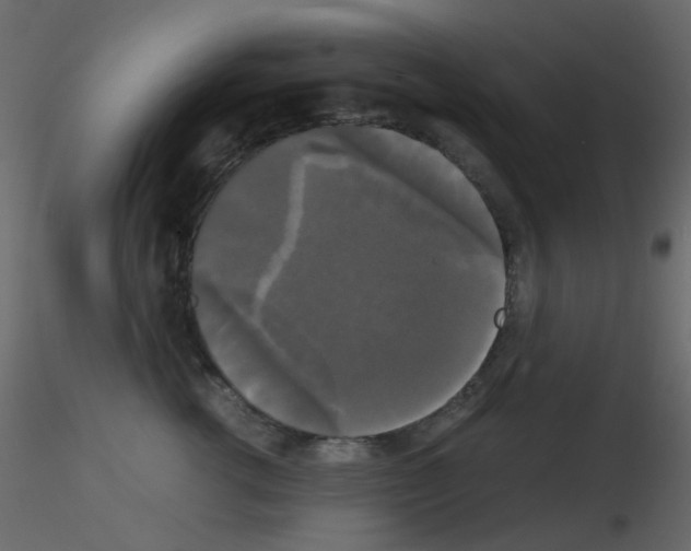 X0000115700762200912241522