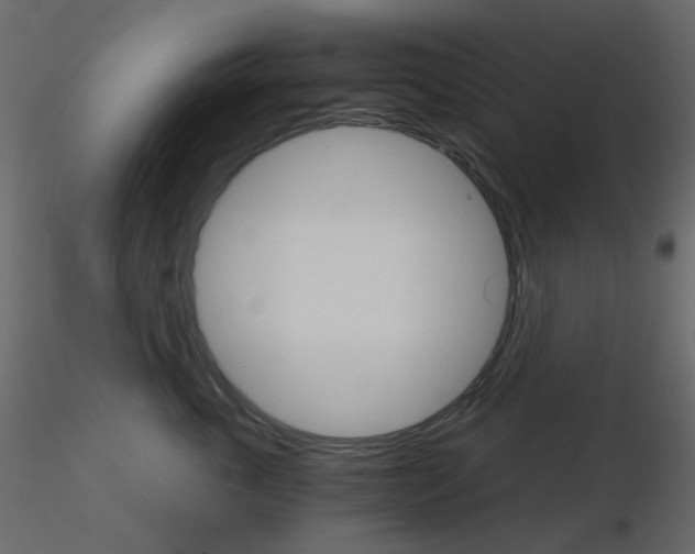 X0000115700763200912241522