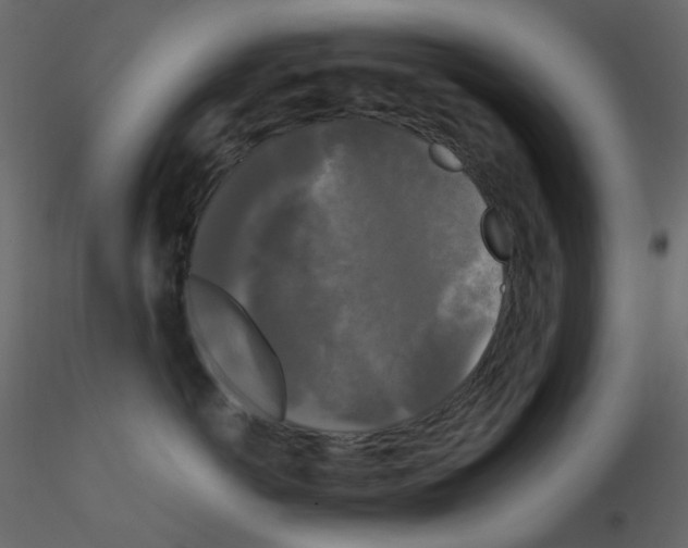 X0000115700766200912241522