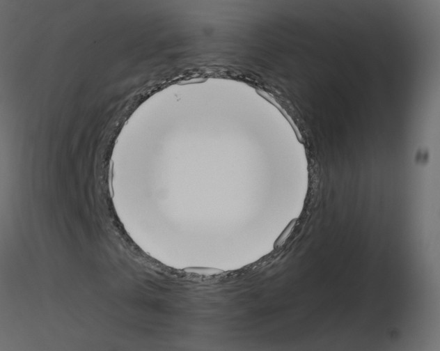 X0000115700769200912241522