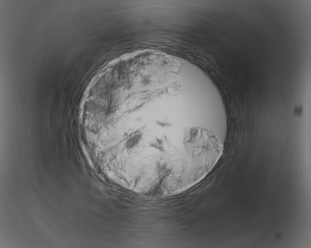 X0000115700771200912241522