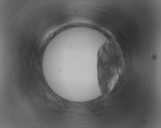 X0000115700775200912241522