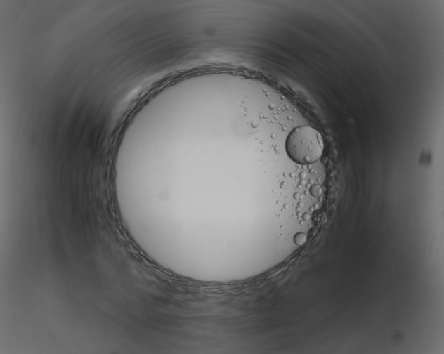 X0000115700776200912241522