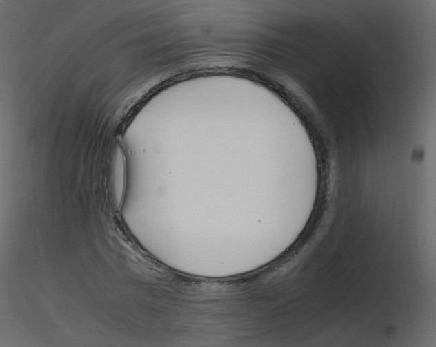 X0000115700777200912241522