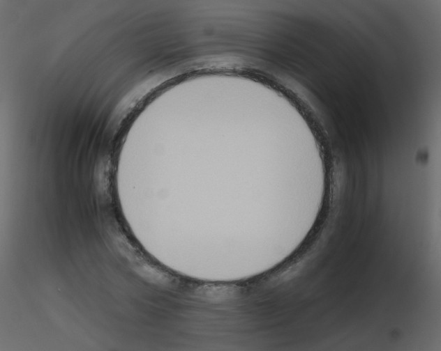 X0000115700778200912241522