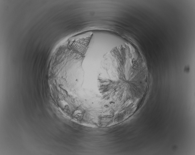 X0000115700779200912241522