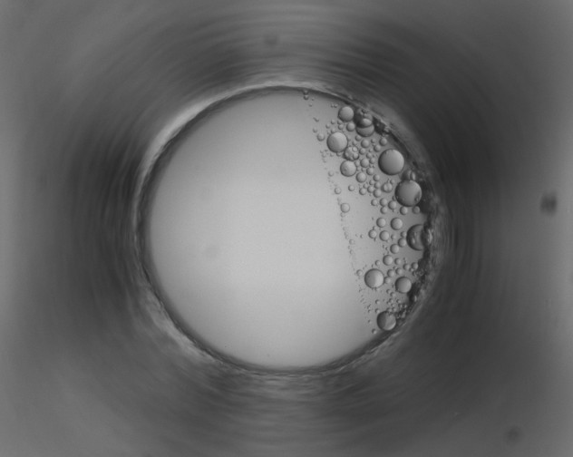 X0000115700780200912241522