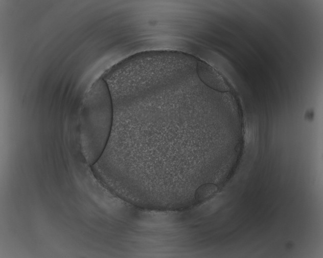 X0000115700781200912241522