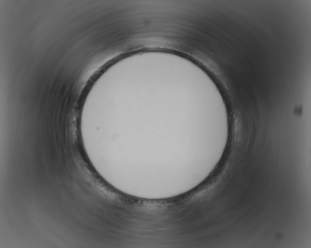 X0000115700782200912241522