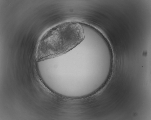 X0000115700783200912241522