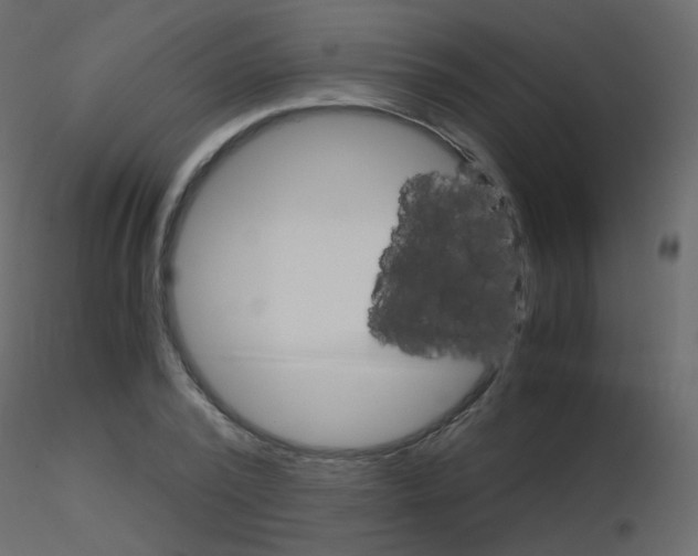 X0000115700784200912241522