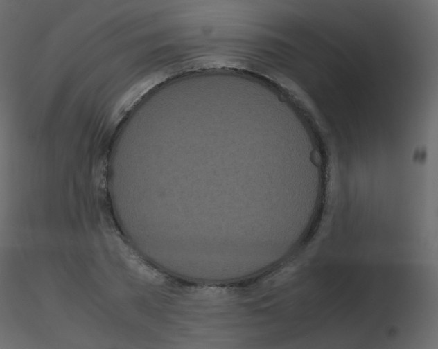 X0000115700785200912241522