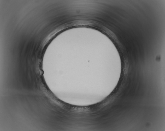 X0000115700786200912241522