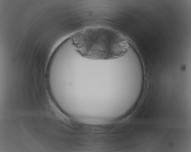 X0000115700787200912241522