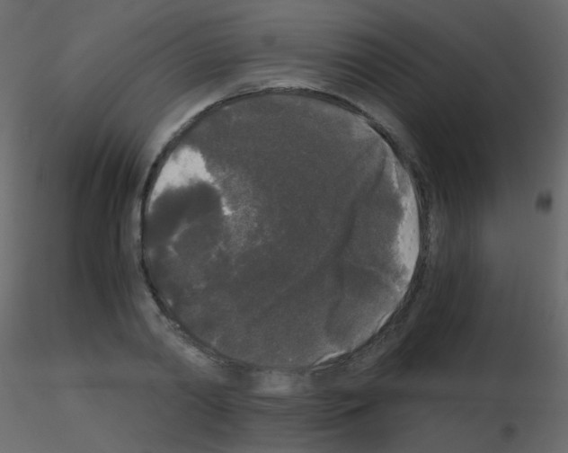 X0000115700790200912241522