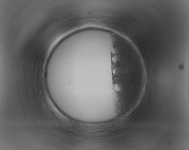 X0000115700791200912241521