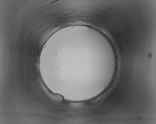 X0000115700793200912241521