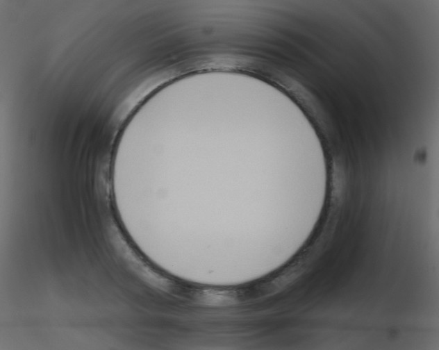 X0000115700794200912241521