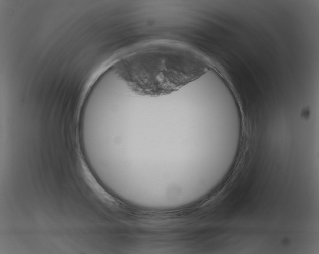 X0000115700795200912241521