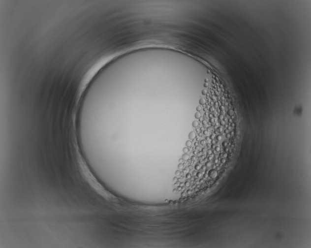 X0000115700796200912241521