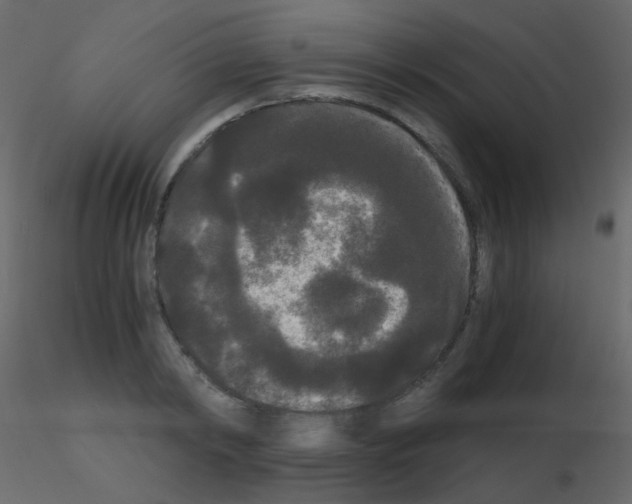 X0000115700798200912241521