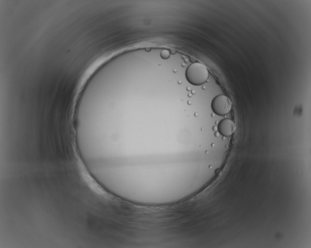 X0000115700800200912241521