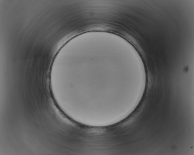 X0000115700802200912241521