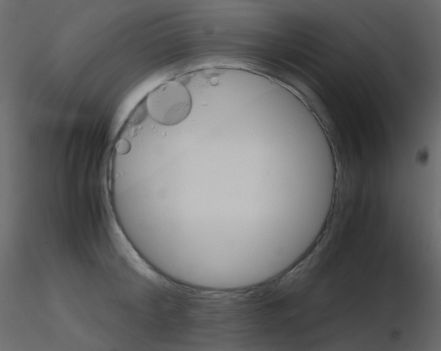 X0000115700804200912241521