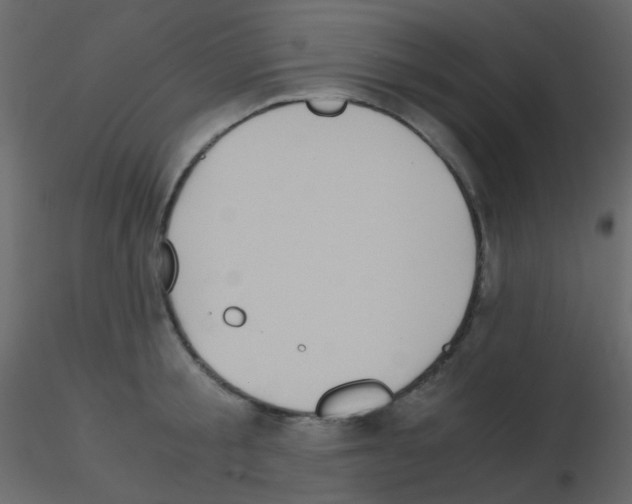 X0000115700805200912241521