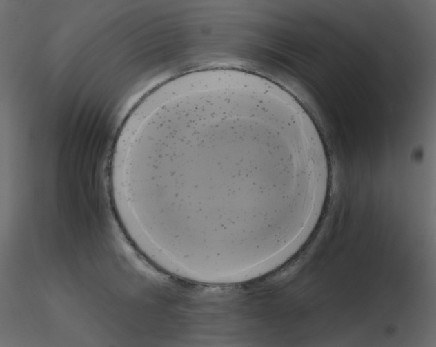 X0000115700806200912241521