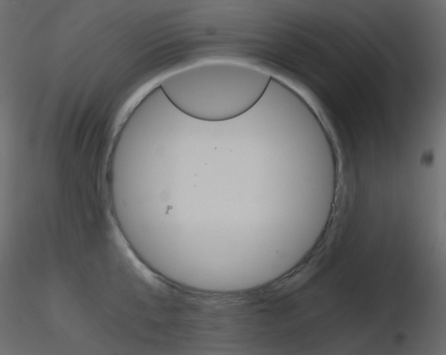 X0000115700807200912241521