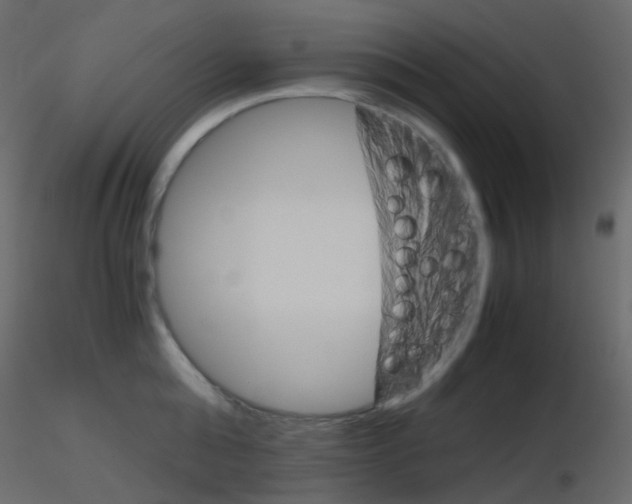 X0000115700808200912241521