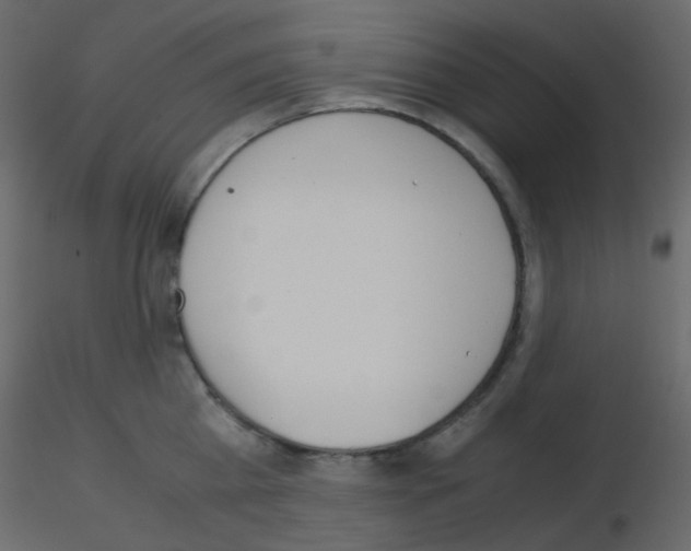 X0000115700809200912241521