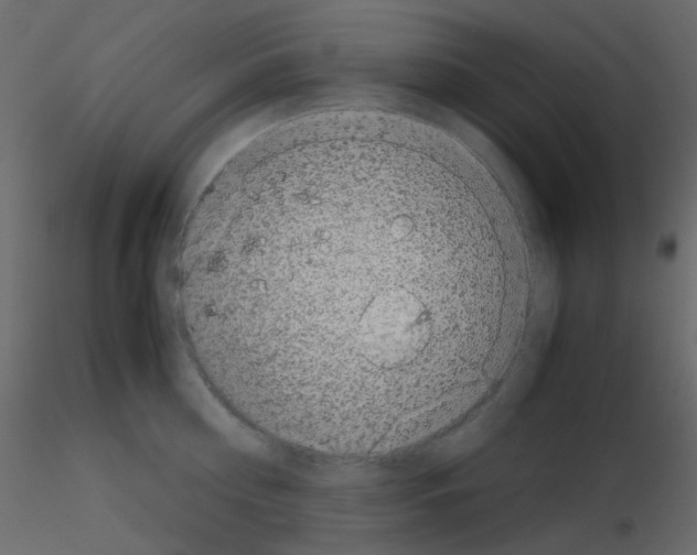 X0000115700810200912241521