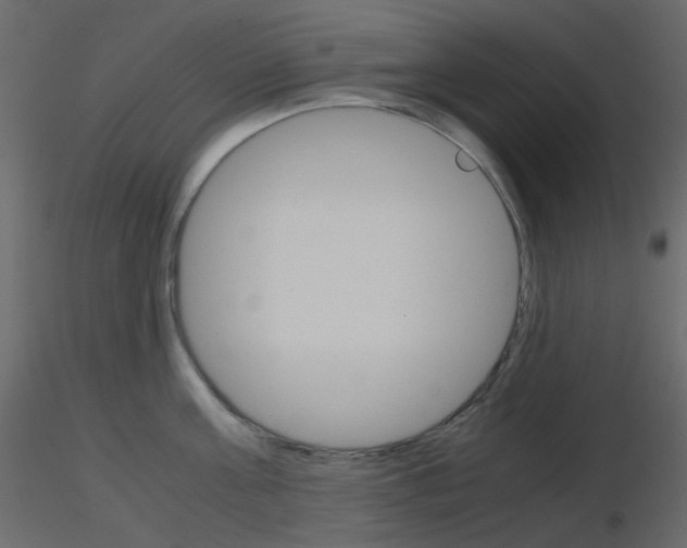 X0000115700811200912241521